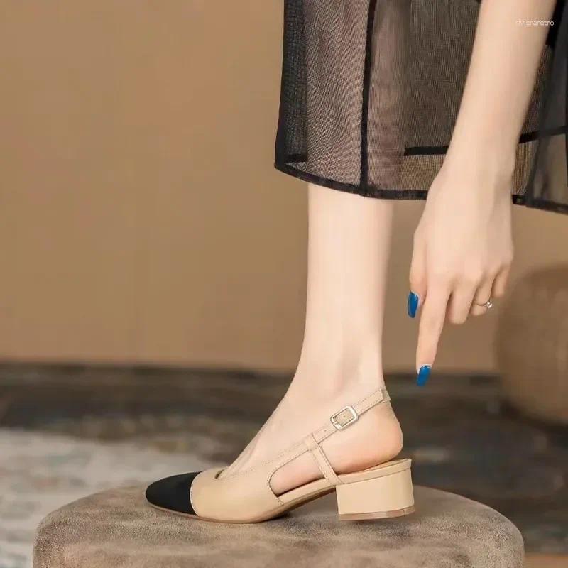 Casual Shoes 2024 Female Spring Women's Pumps Fashion Office Women Mixed Colors Buckle Strap Low Square Heel Sandals