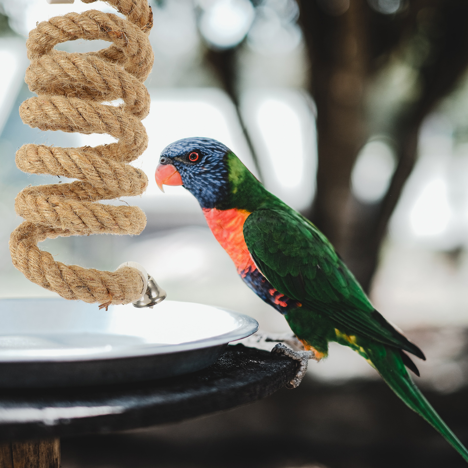 Climbing Rope Toy Parrot Bell Bird Perch Accessories Plaything Parakeet Toys for Cage Swing Stand