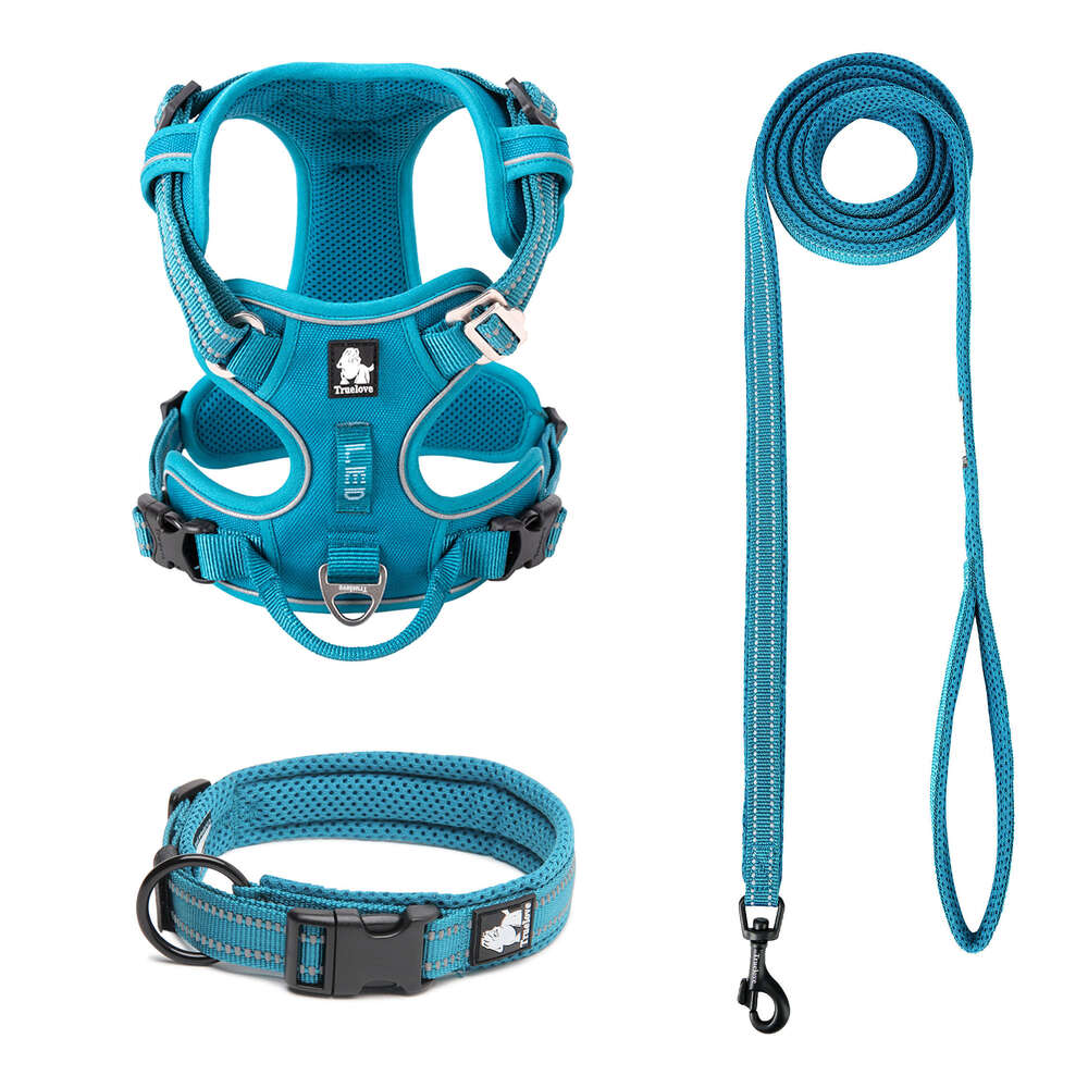 Truelove Classic 2023 Best Sell Adjustable Dog Harness and Leash Collar Set with Premium Raw Material