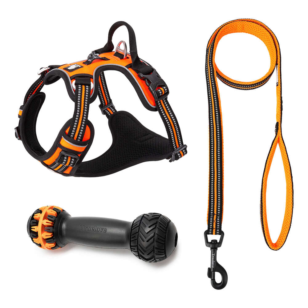 Truelove Classic 2023 Best Sell Adjustable Dog Harness and Leash Collar Set with Premium Raw Material