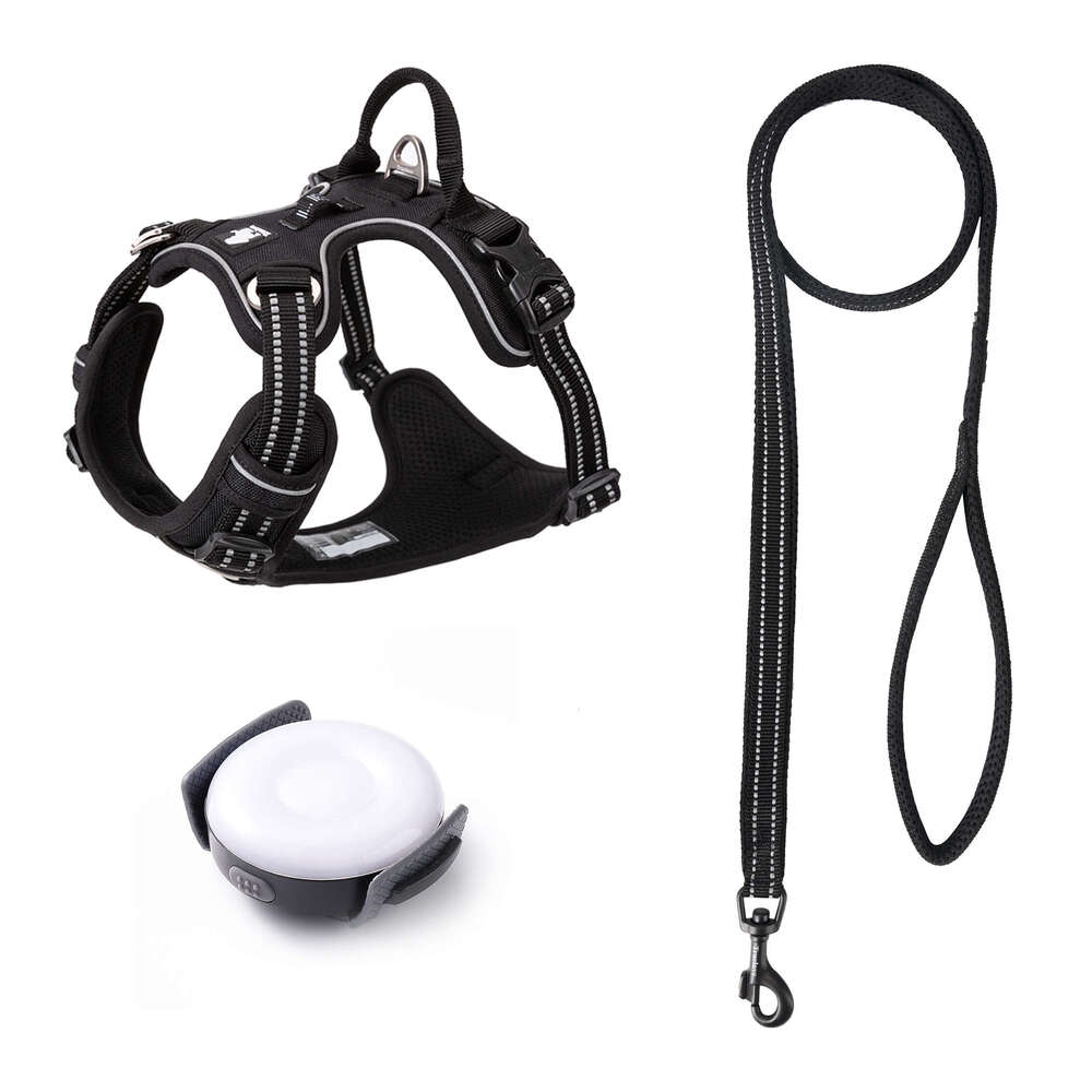 Truelove Classic 2023 Best Sell Adjustable Dog Harness and Leash Collar Set with Premium Raw Material