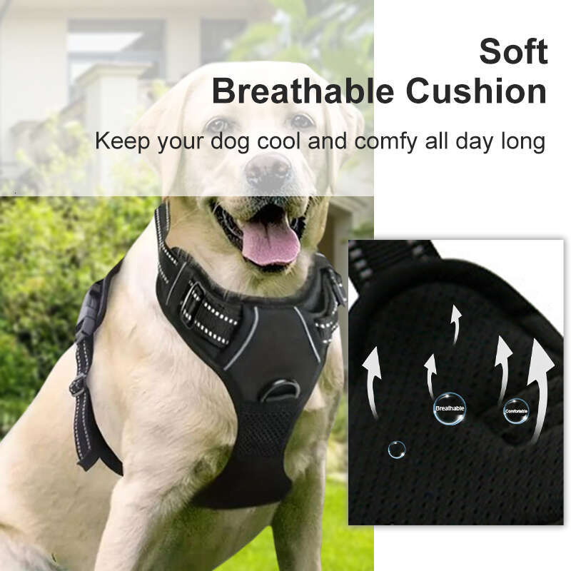 Custom oem pet accessories products supplie retractable dog collar leash wire training harness set for dogs