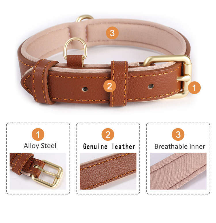 Hot Sale Genuine Waterproof Dog Kitten Puppy Adjustable Leather Collar For Outdoor Walking