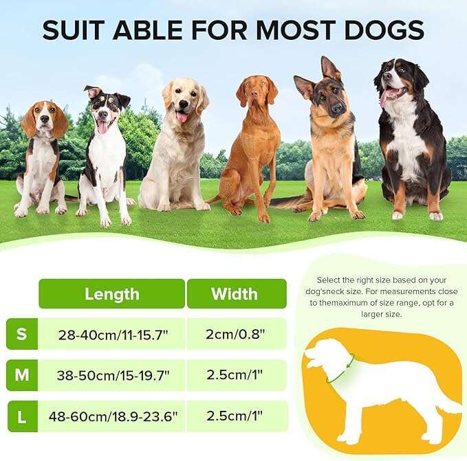 for Night Walking,Rechargeable Light Up Collar Led Color,Glow in The Dark Dog Collars Waterproof