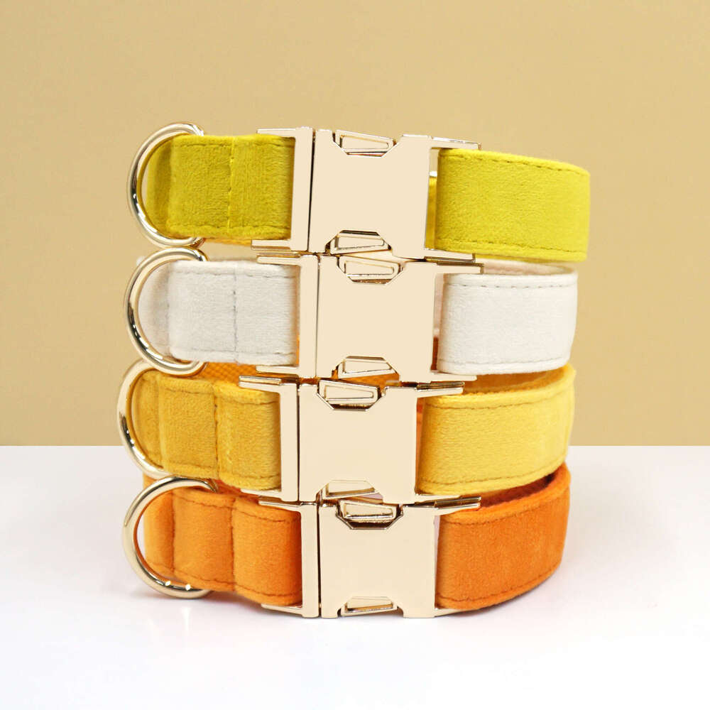 cozy fashion metal buckle and leash for running walking pet collars set dog collar