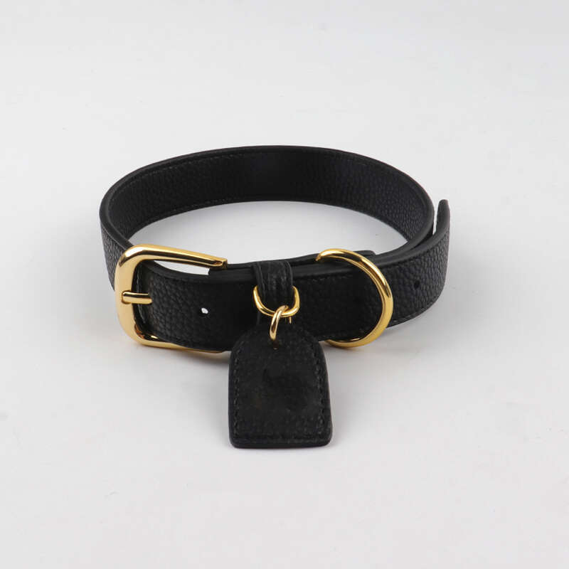 Black PU Pet Cat Softly Padded Waterproof Classic Vegan Genuine Leather Dog Collar and leader