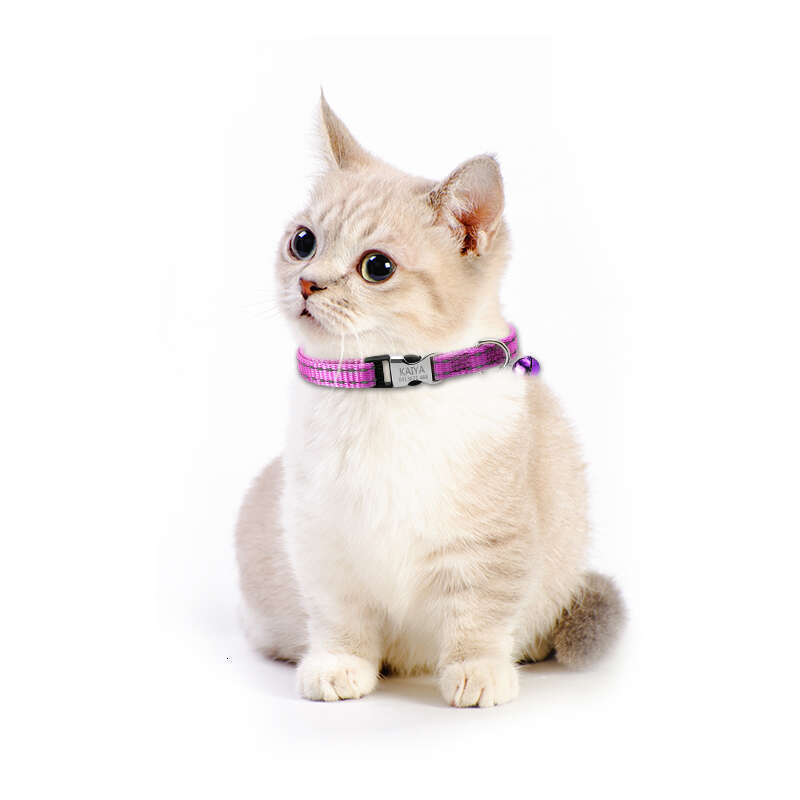 Customized Personalized Reflective Nylon Cat Breakaway With Bell Collar for Dogs and cats