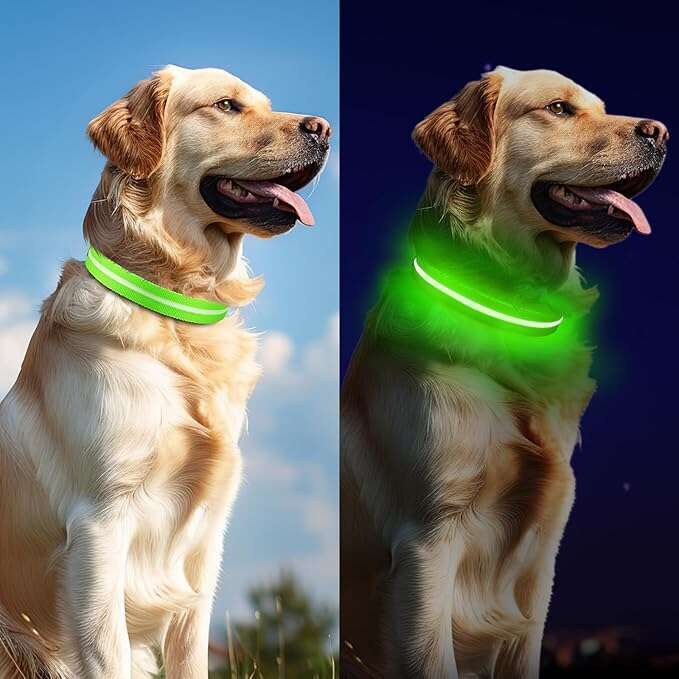 for Night Walking,Rechargeable Light Up Collar Led Color,Glow in The Dark Dog Collars Waterproof