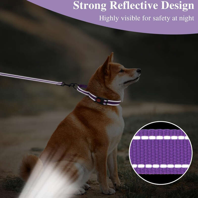 Wholesale Manufacturer Nylon Reflective Martingale Dog Collar and Leash Set with Quick Release Buckle
