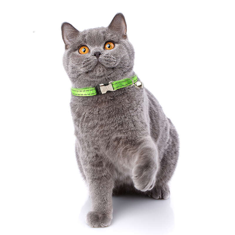 Customized Personalized Reflective Nylon Cat Breakaway With Bell Collar for Dogs and cats