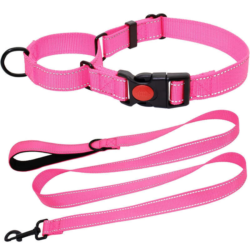 Wholesale Manufacturer Nylon Reflective Martingale Dog Collar and Leash Set with Quick Release Buckle