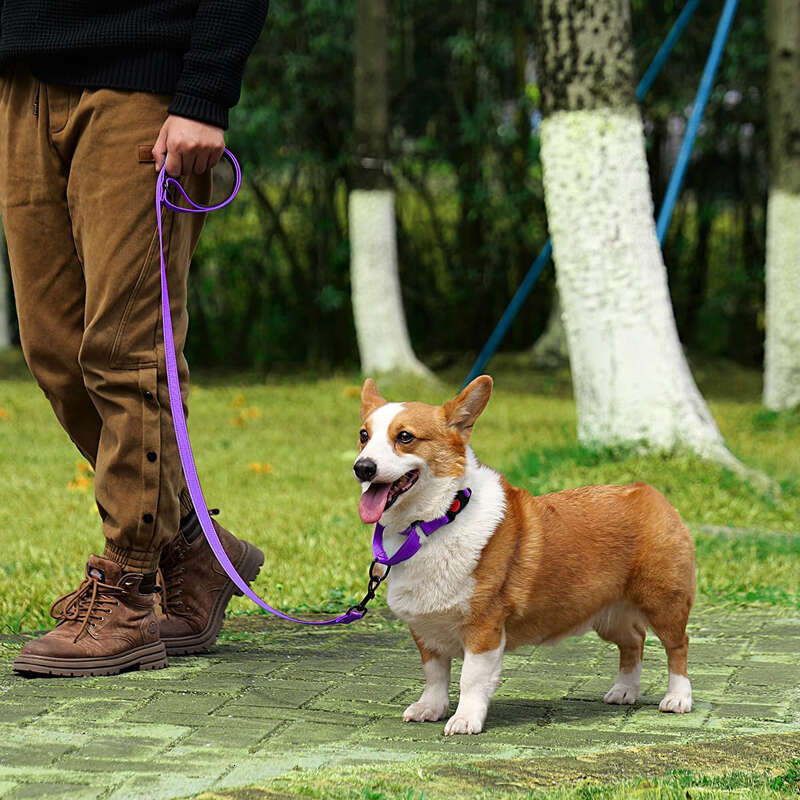 Wholesale Manufacturer Nylon Reflective Martingale Dog Collar and Leash Set with Quick Release Buckle