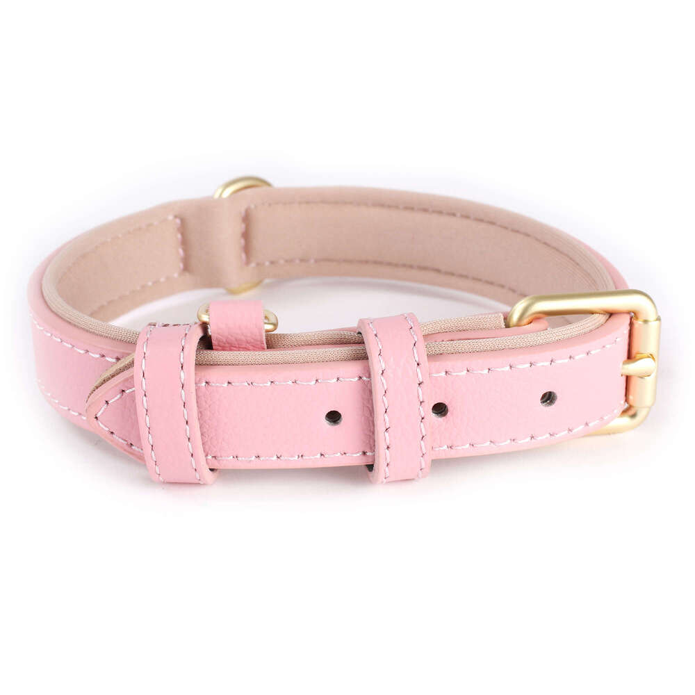 Hot Sale Genuine Waterproof Dog Kitten Puppy Adjustable Leather Collar For Outdoor Walking