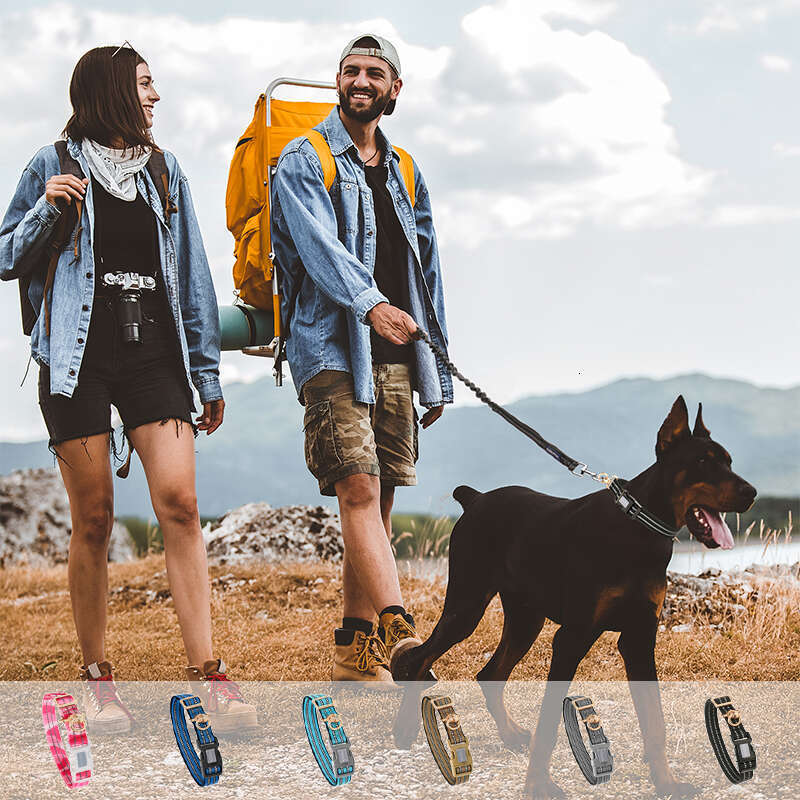 Custom Heavy Duty Training Walking Manufacturer Oem Nylon Reflective Adjustable Airtag Dog Collar