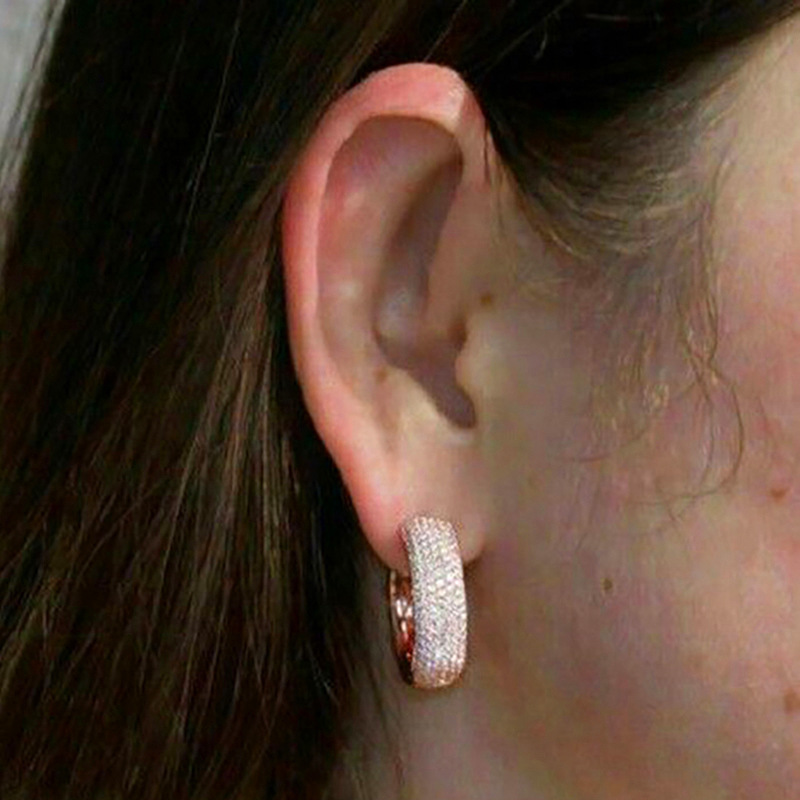 Sparkg Clip Earrings: Sterg Sier Rose Gold Fill Micro Cubic Zirconia CZ Dia Studs for Women 3a79