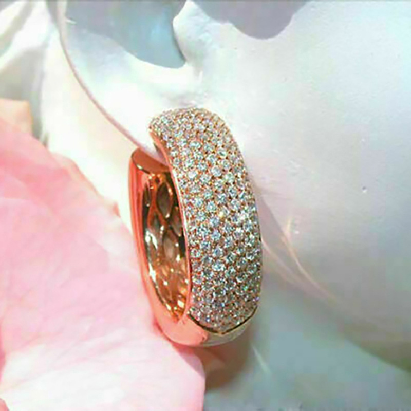 Sparkg Clip Earrings: Sterg Sier Rose Gold Fill Micro Cubic Zirconia CZ Dia Studs for Women 3a79