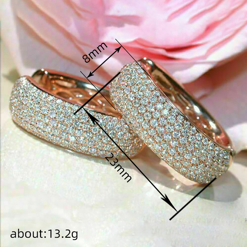 Sparkg Clip Earrings: Sterg Sier Rose Gold Fill Micro Cubic Zirconia CZ Dia Studs for Women 3a79