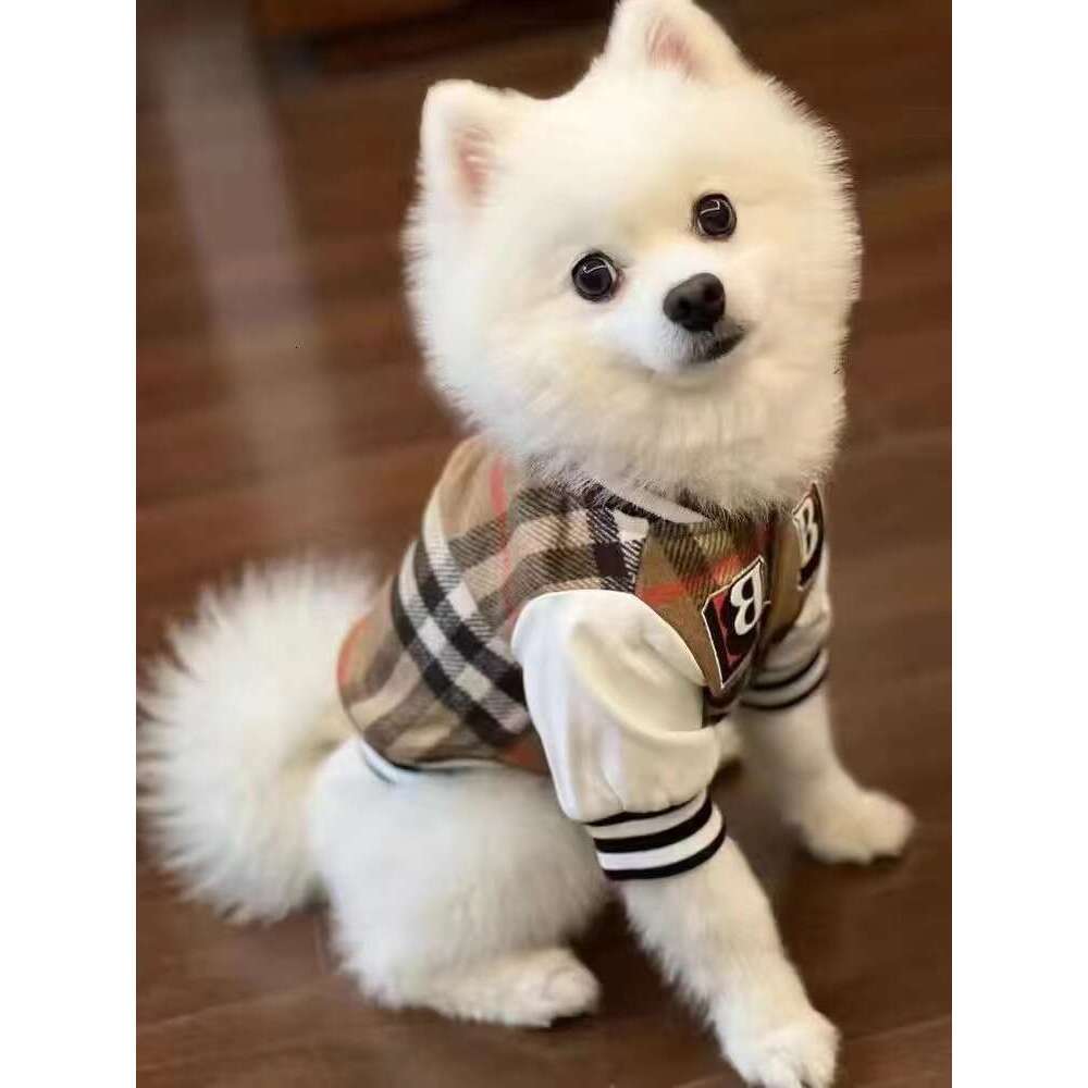 Designer Dog Clothe New Dog Clothes For Autumn And Winter, Douxuenari VIP Teddy, Shiba Inu Cat, Baseball Jacket Dog Clothe 740