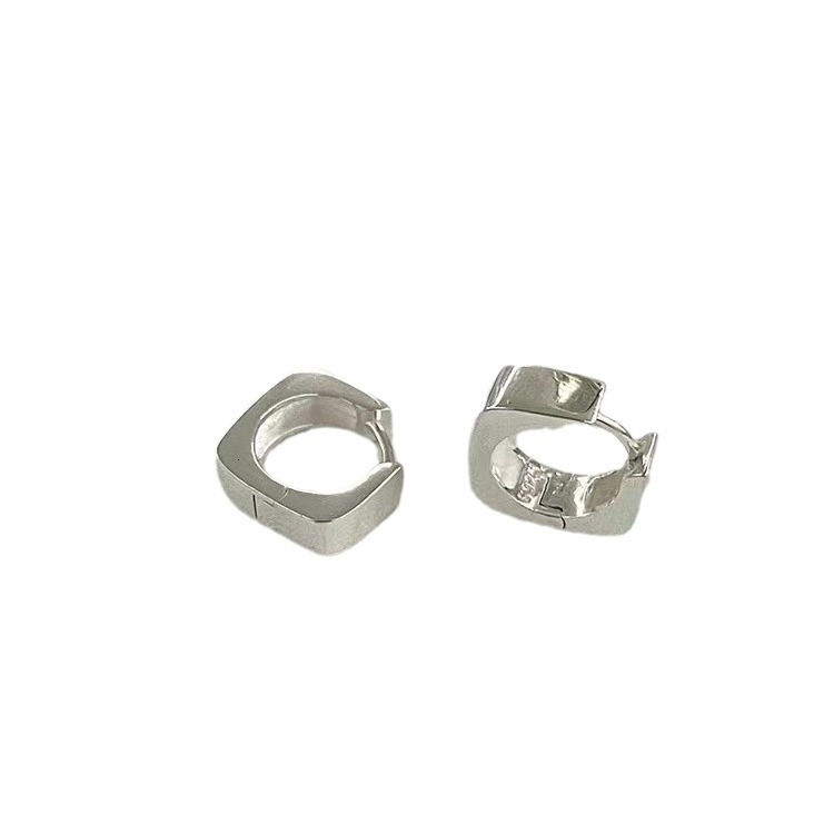Brushed metal with simple ins style, geometric shape girls, versatile and compact earrings for daily use, needle new style