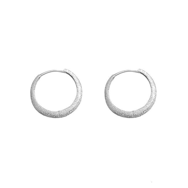 pure sier needle with starry sky women's 2024 new trendy earrings, earrings