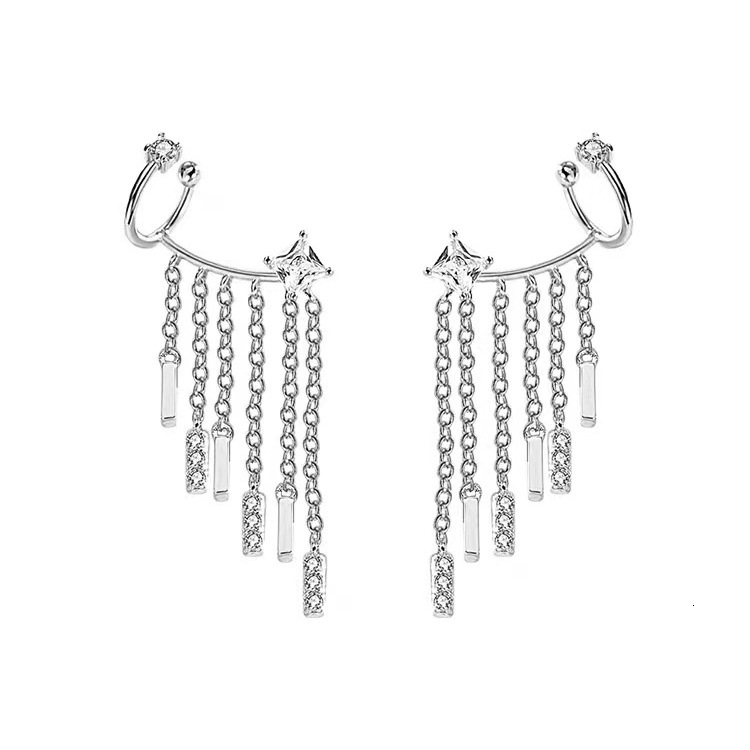 Pure sier needle niche design ins tassel creative personality light exquisite for women earrings popular trend