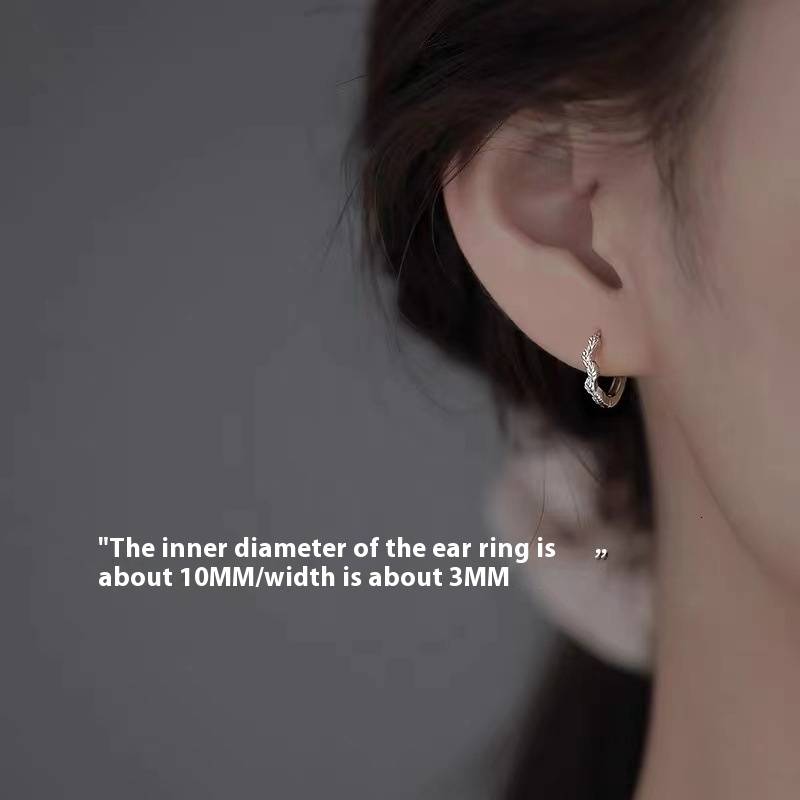 2024 new light earrings, niche women's high-end earrings too