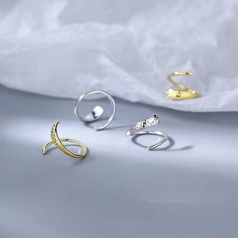 spring for women 2024, new niche high-end light earrings, summer earrings