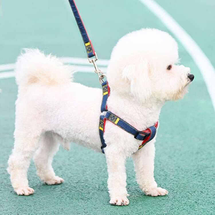 Pet large, medium, and small chains, teddy gold fur dog leash, pet supplies