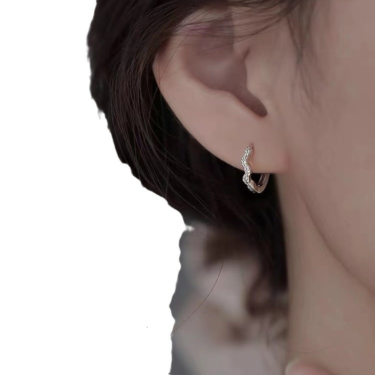 2024 new light earrings, niche women's high-end earrings too