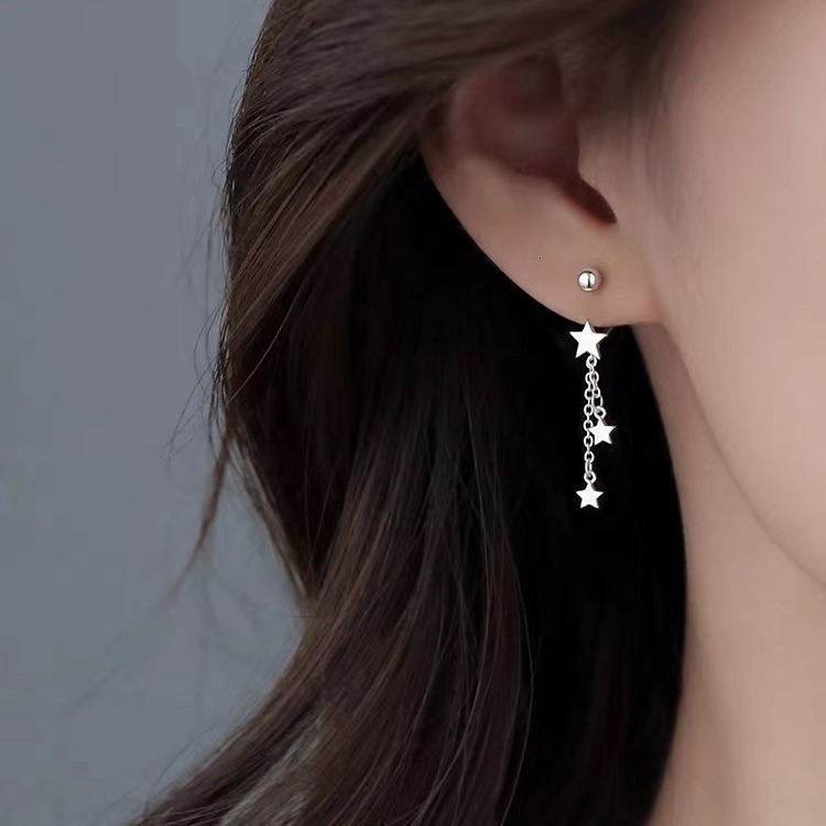 2024 New Women's Light Niche High End Earrings