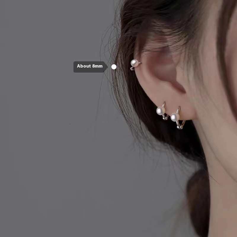 Pure sier needle pearl 2024 new for women with high-end feel, niche light earrings