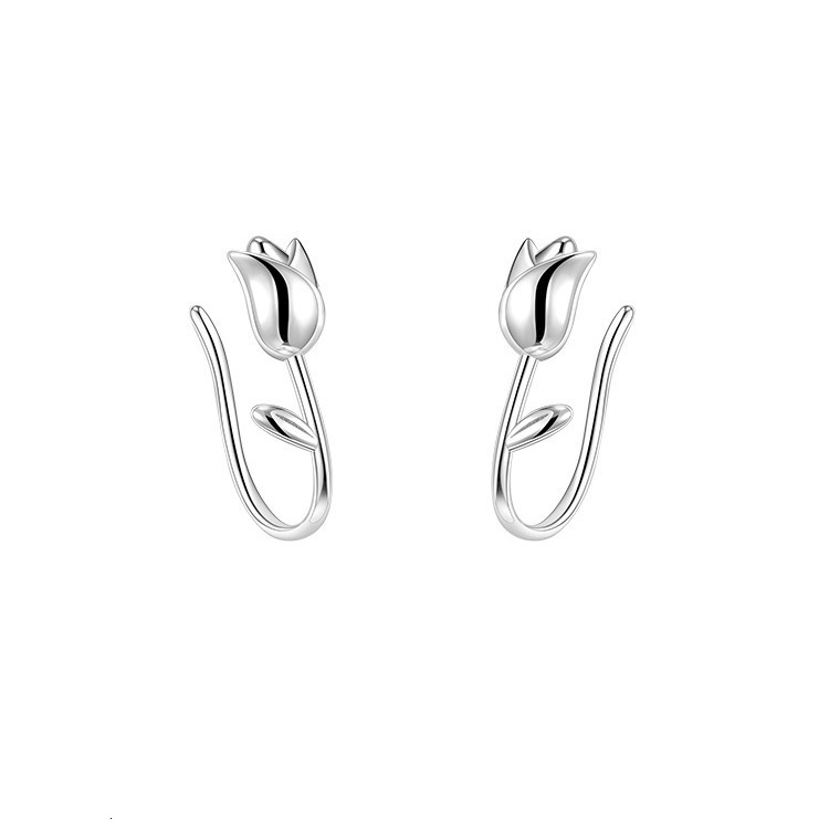 Women 2024 New Trendy Earrings, Small and Popular Earrings