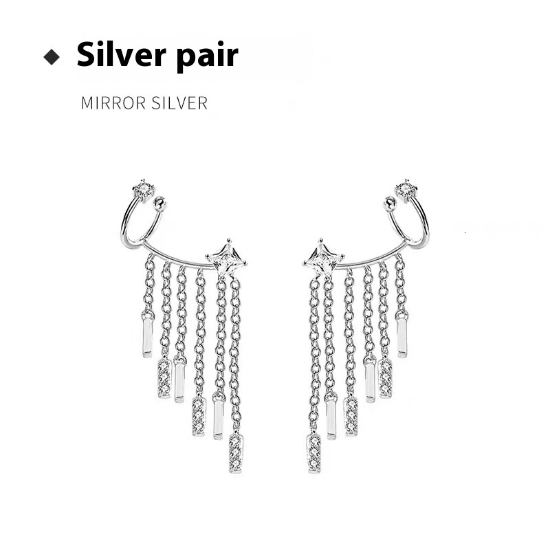 Pure sier needle niche design ins tassel creative personality light exquisite for women earrings popular trend