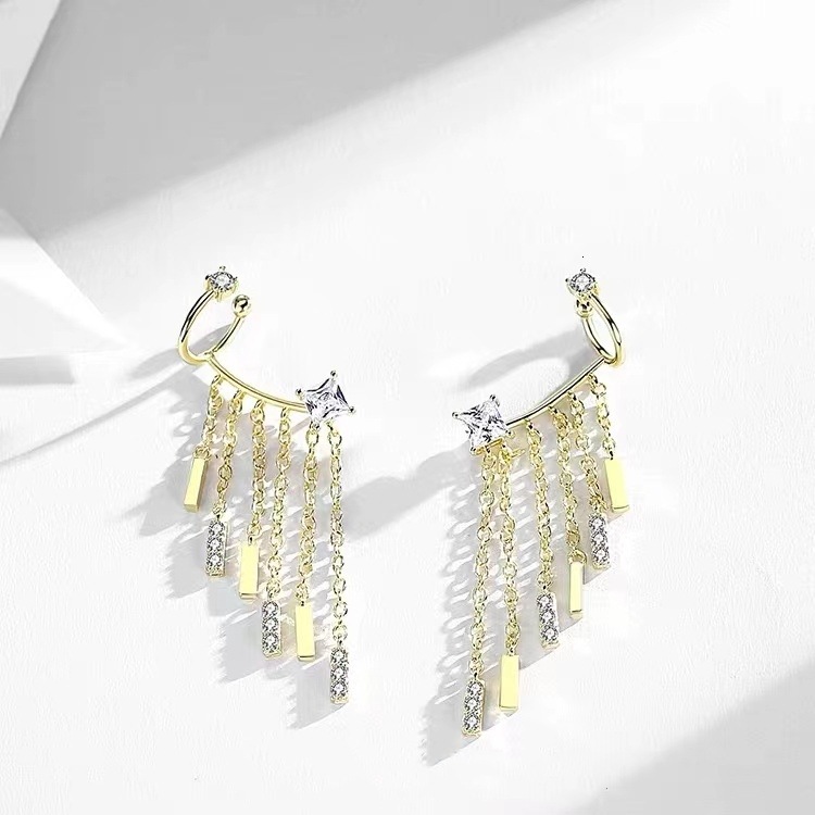 Pure sier needle niche design ins tassel creative personality light exquisite for women earrings popular trend