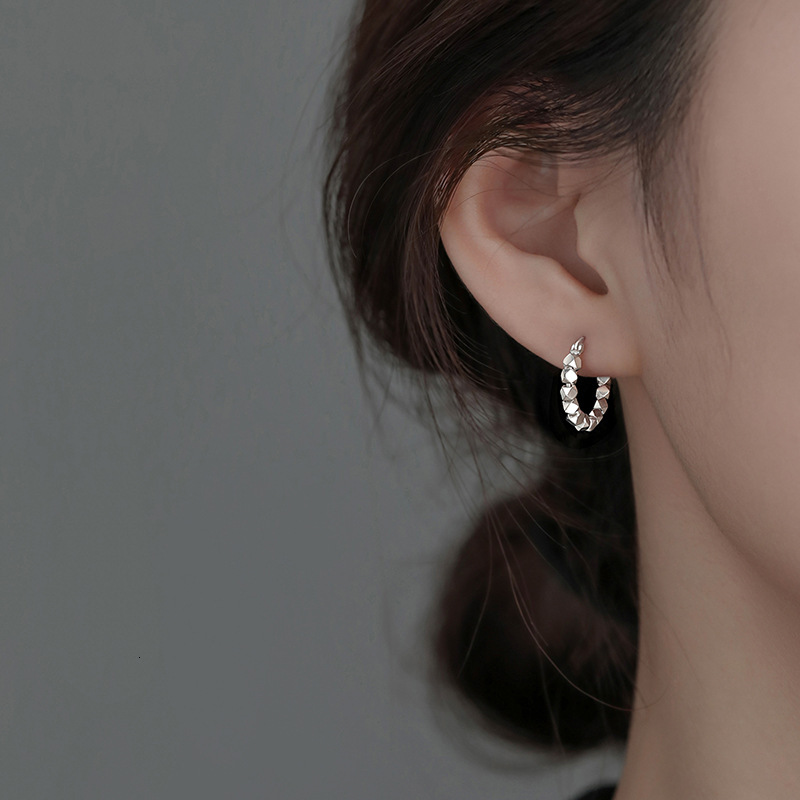 Needle Broken Sier Earrings, Women's 2024 New Collection, niche design, earrings, earrings