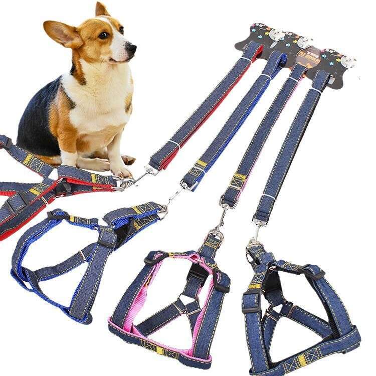 Pet large, medium, and small chains, teddy gold fur dog leash, pet supplies