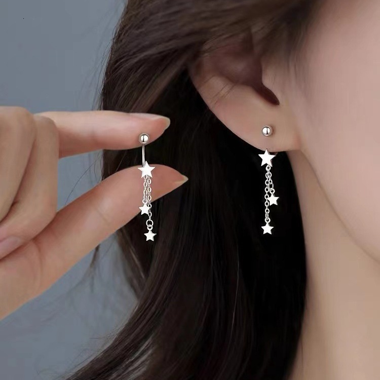 2024 New Women's Light Niche High End Earrings