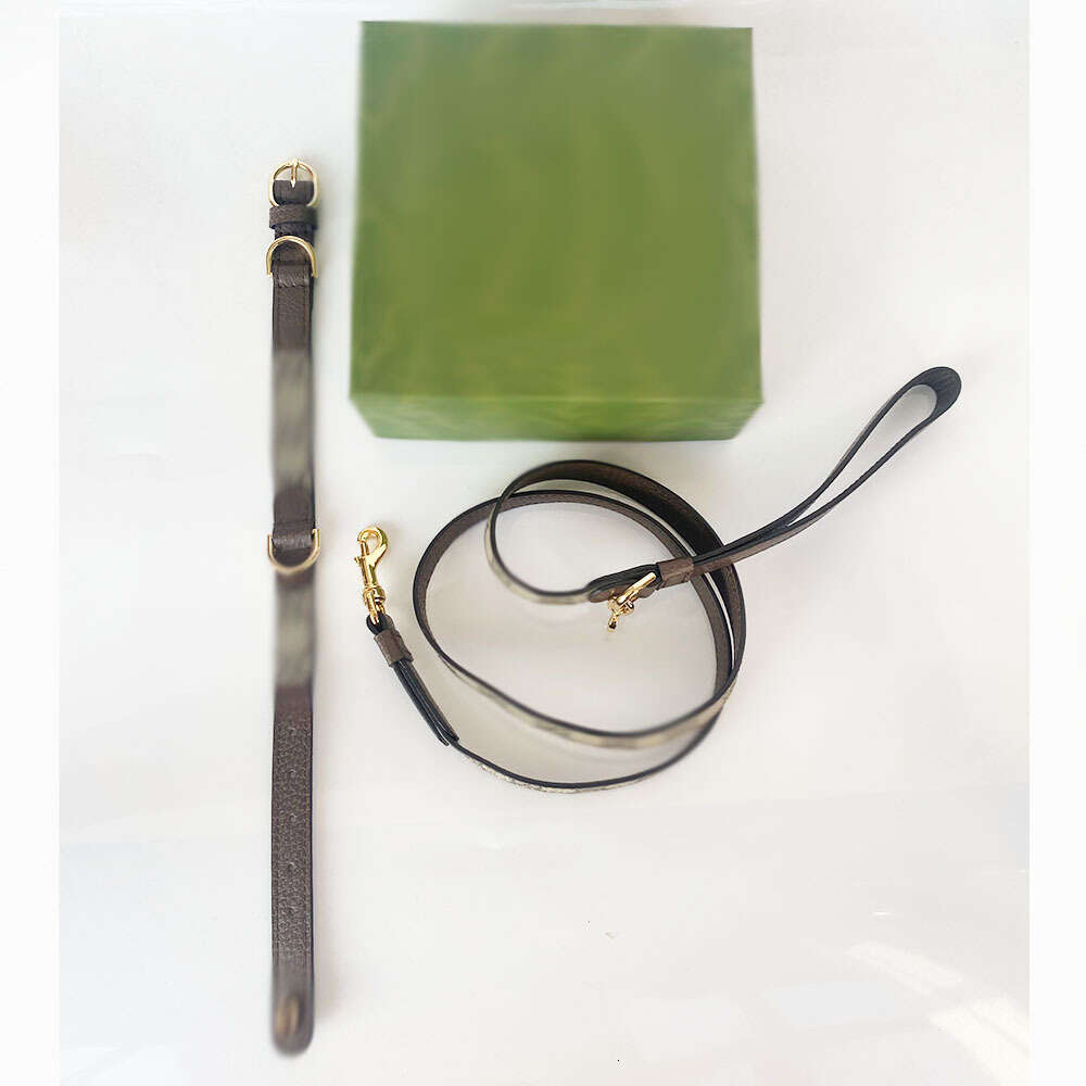 Instagram Pet Supplies Bull Leather Belgton West Highland Collar Gold Hair Large, Medium, And Small Dog Leash