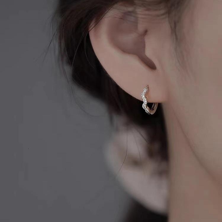 2024 new light earrings, niche women's high-end earrings too