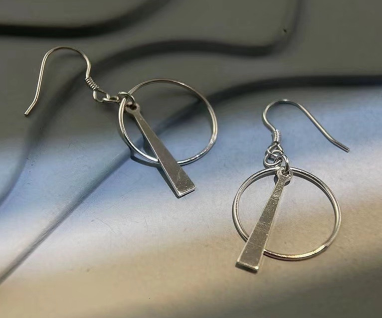 Pure sier needle light geometric circle women's earrings, personalized temperament, fashionable and niche design