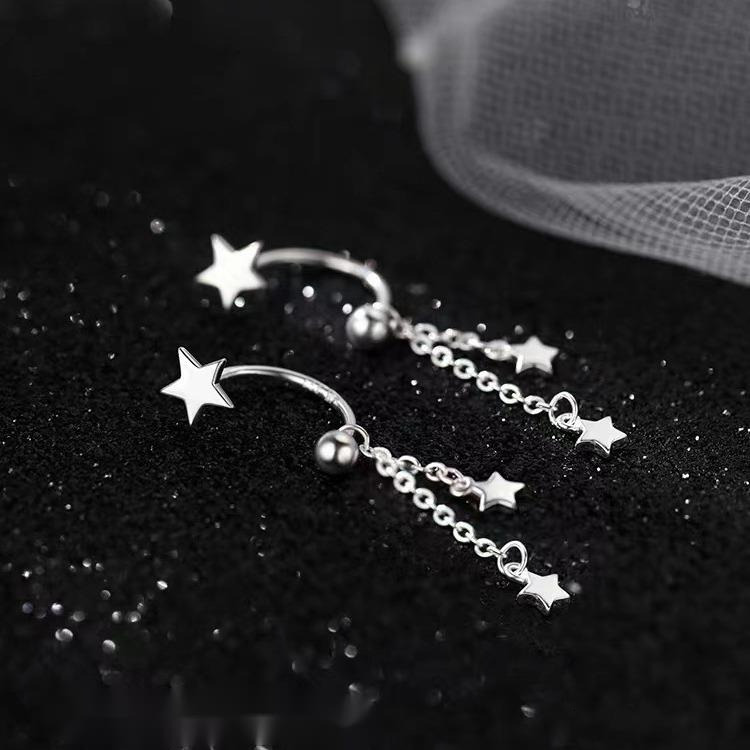 2024 New Women's Light Niche High End Earrings