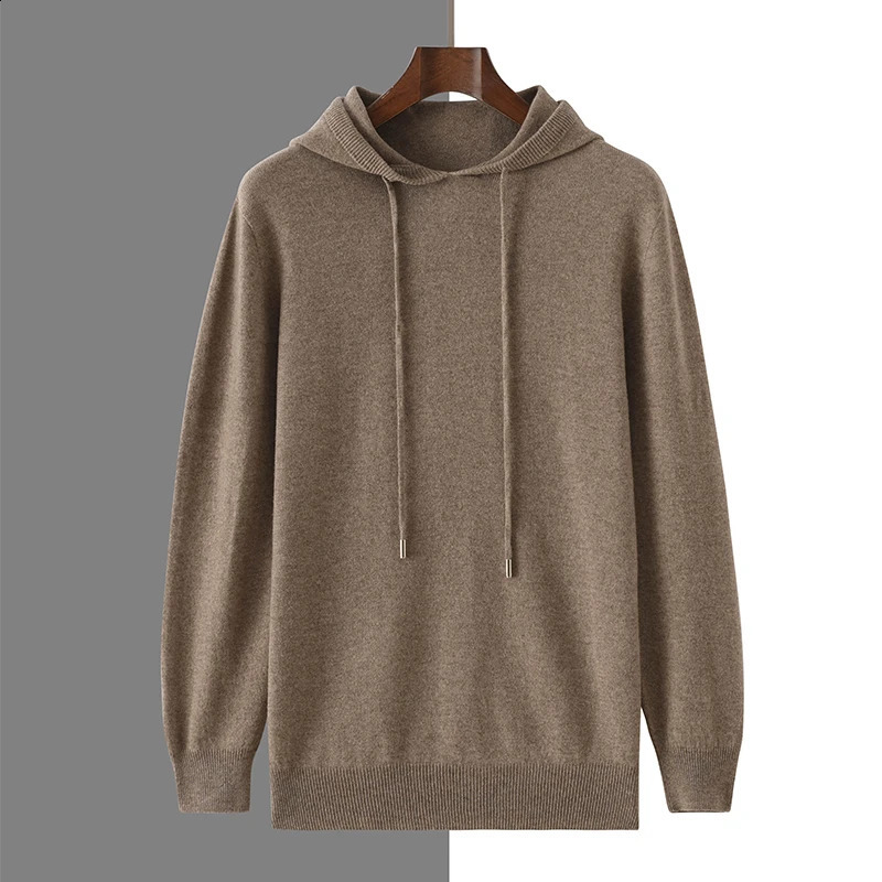 2024 Autumn Winter Cashmere Sweater Mens 100 Wool Hooded Collar Knit Pullover Business Casual Long Sleeved Sports Hoodie 240930