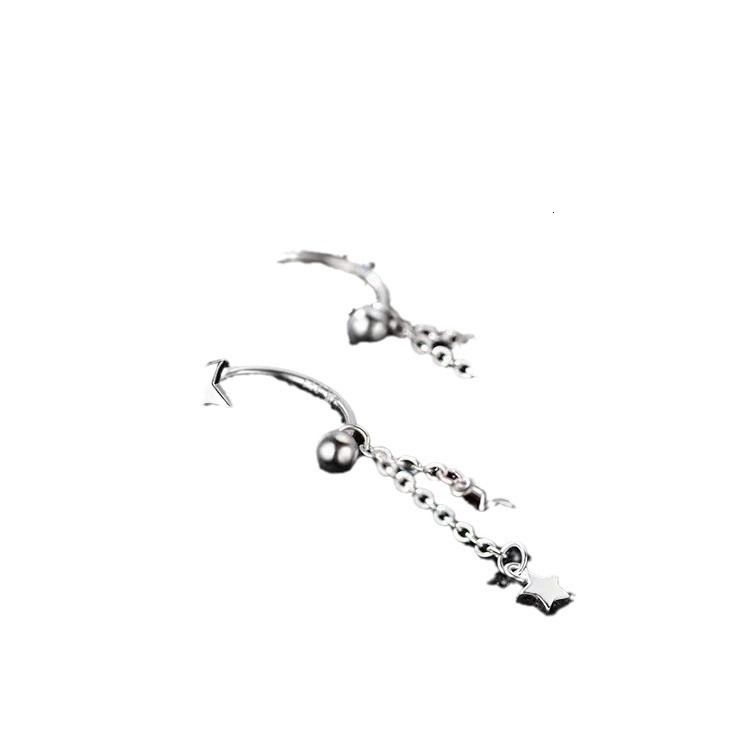 2024 New Women's Light Niche High End Earrings