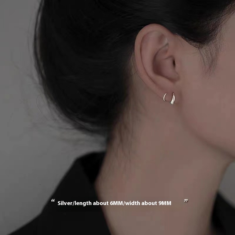 spring for women 2024, new niche high-end light earrings, summer earrings