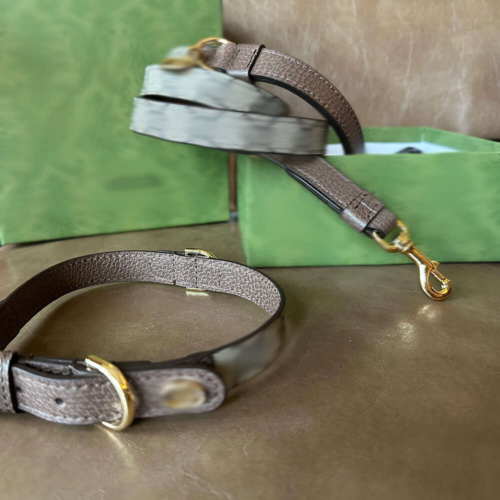 Instagram Pet Supplies Bull Leather Belgton West Highland Collar Gold Hair Large, Medium, And Small Dog Leash