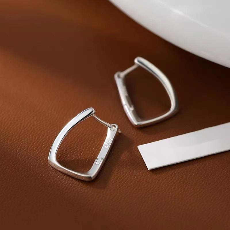Pure sier needle geometric light new 2024 high-end earrings, niche women's earrings too