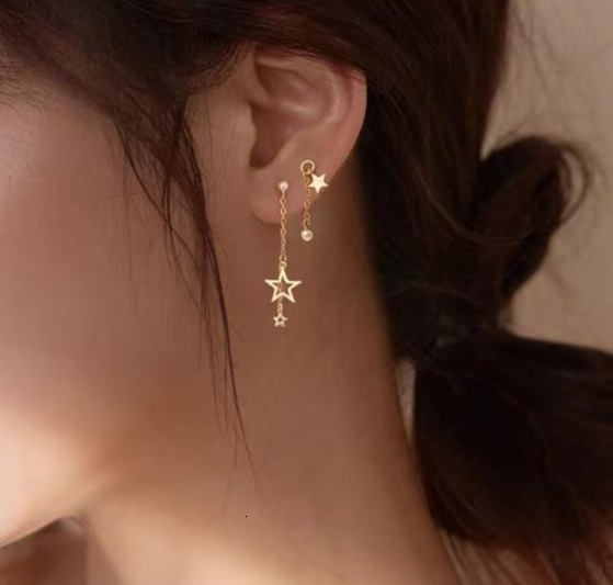 Pure sier needle female creative earrings, Korean internet celebrity style, star tassel