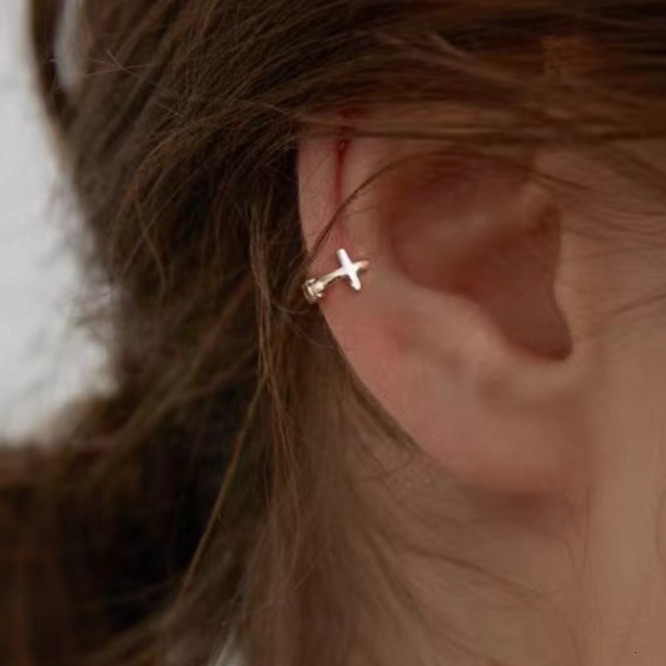 plated temperament, internet famous female earrings, small and niche earrings