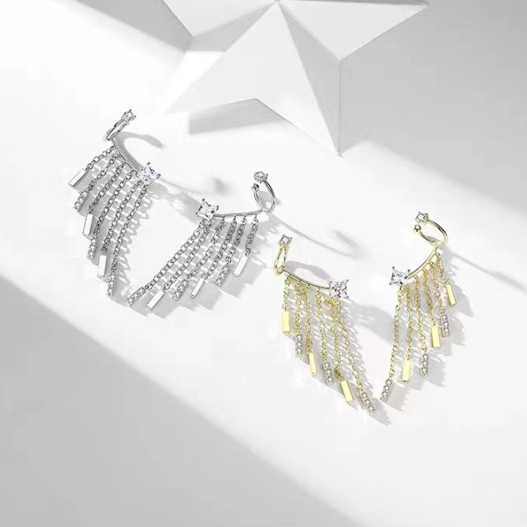 Pure sier needle niche design ins tassel creative personality light exquisite for women earrings popular trend