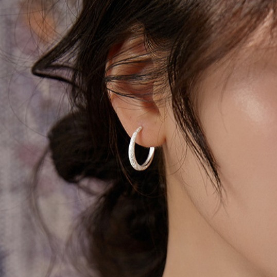 pure sier needle with starry sky women's 2024 new trendy earrings, earrings